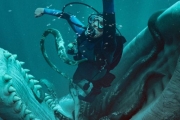 Η ΠΤΩΣΗ ΤΗΣ ΦΑΛΑΙΝΑΣ (WHALEFALL)