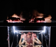 Francis Bacon Project  Scream of the Body