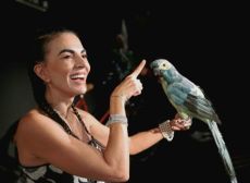 6 Τελευταίες παραστάσεις ΜΑΙΡΟΥΛΑ 