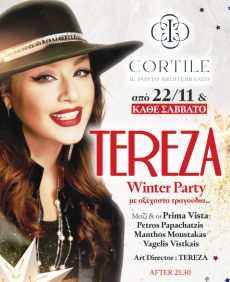 Χριστούγεννα με την TEREZA 