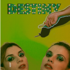 DESTINY 