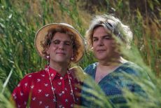 ΑΙ ΓΥΜΝΙΣΤΑΙ 