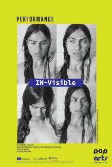 IN-Visible 