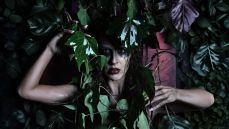 Η ΚΑΤΣΑΡΙΔΑ Κ. 