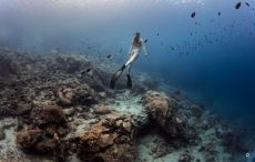The Underwater Gallery: η πρώτη στον κόσμο υποθαλάσσια έκθεση φωτογραφίας «με μια ανάσα» 