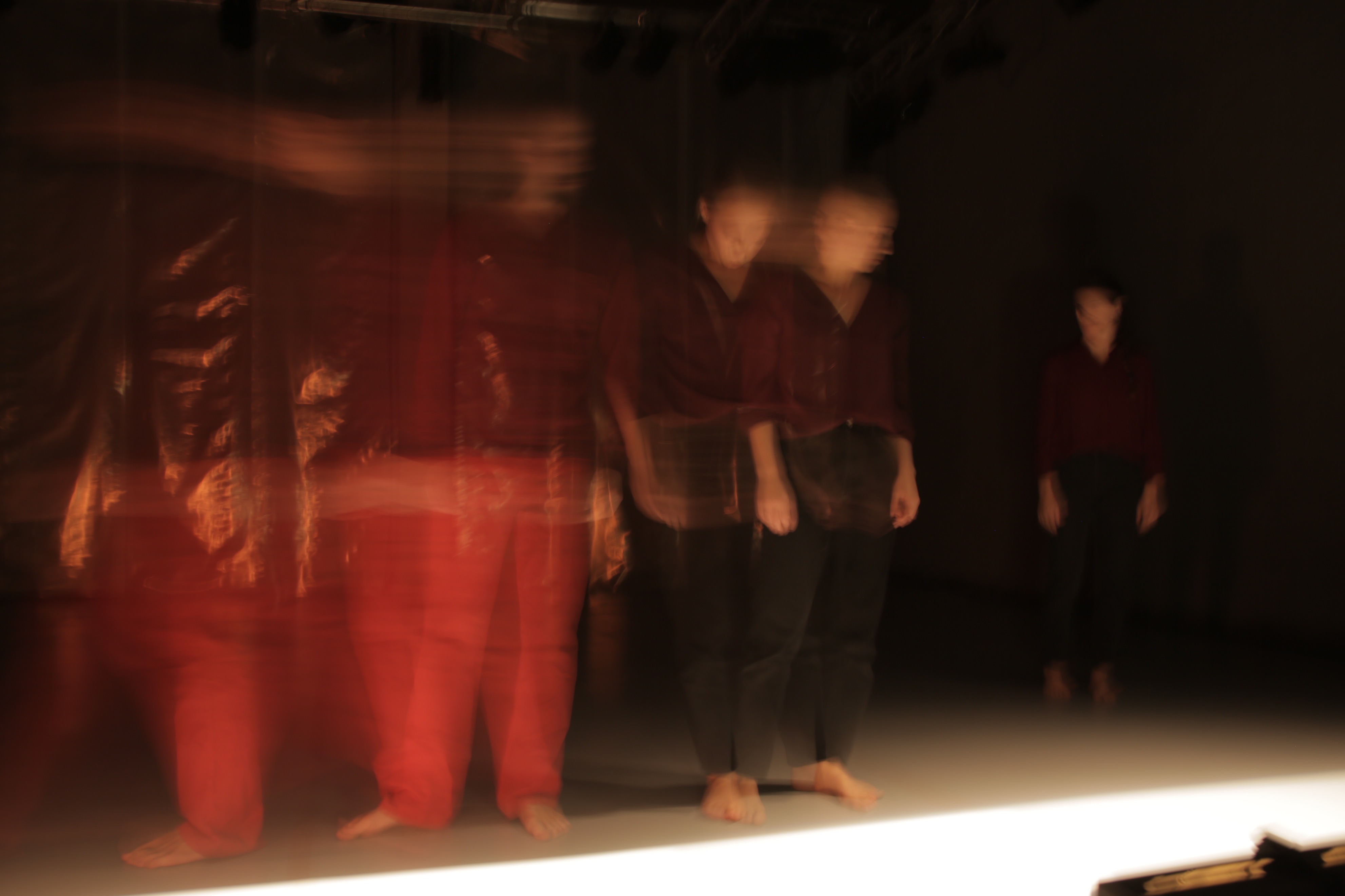 DISTORTION 01