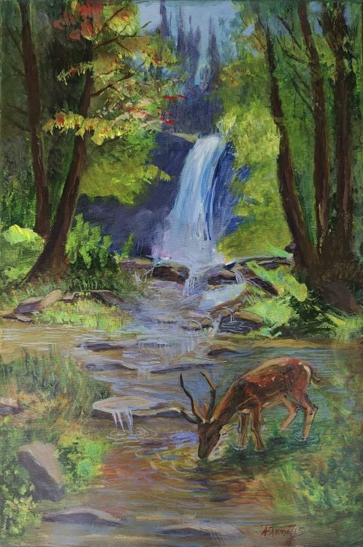 PETRIXWR 60x40cm