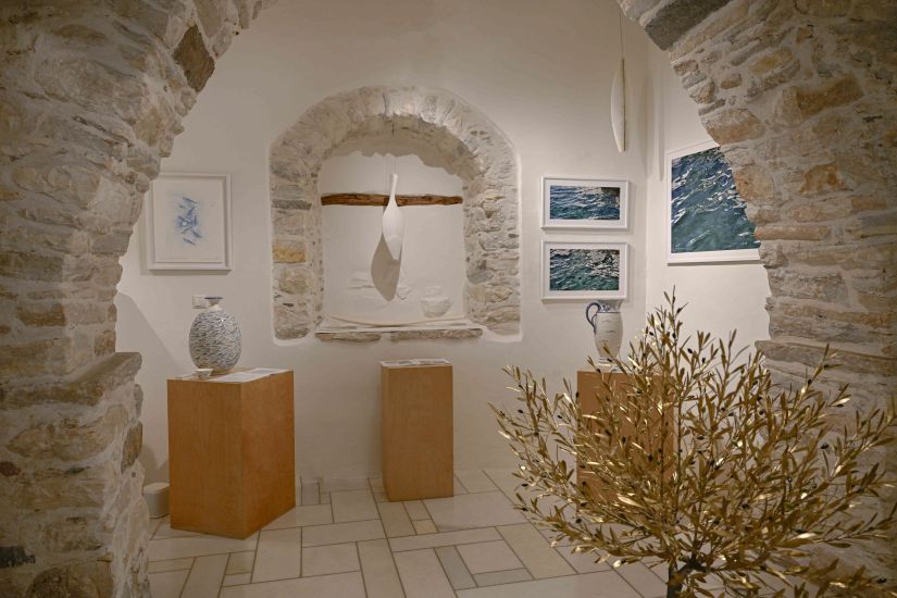  Fish Olive Gallery